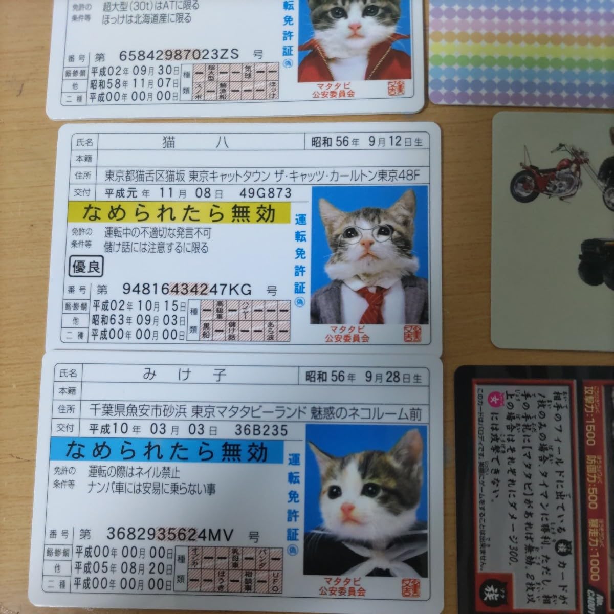 なめねこ 運転免許証風カード 2017年 Amazon.co.jp: なめ猫 運転免許証 カード 本物そっくり 猫八
